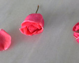 Foto del paso 1 de la receta: Pétalos de rosa cristalizados
