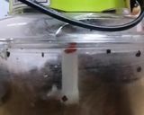 Gambar langkah 7 resipi Sambal Hitam Belimbing Buluh.