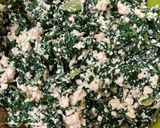 Foto langkah ke 3 dari resep Rolade Daun Kale/Kale Leaf Roulade.