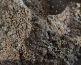 अलसी गुड आटे की पिन्नी (Alsi gur aate ki pinni recipe in Hindi) रेसिपी चरण 9 फोटो
