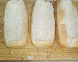 Foto del paso 3 de la receta: Panes de hotdog relleno de carne