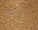 A picture of step 1 of Fry moong daal.