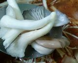 รูปขั้นตอนการทำที่ 6 ของ ต้มแซ่บอกไก่กับไข่เจียวเห็ด