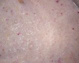 A picture of step 2 of Apple rose milk shake.