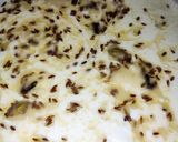 কাশ্মীরি পনির চমন(Kashmiri Paneer Chaman recipe in Bengali) রেসিপি ধাপ - 3 ছবি