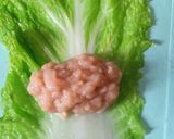 Foto langkah ke 6 dari resep Dimsum sayur gulung ayam jamur.