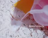 Foto langkah ke 2 dari resep Pastel Kering Aroma.