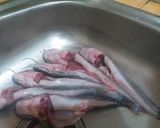 Foto langkah ke 1 dari resep Lele goreng (ANTI LENGKET) tips goreng lele anti lengket.