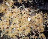 Coconut flakes🥥matakin girki3 hoto