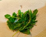 Foto del passaggio 5 della ricetta Farfalle Integrali con Zucchine Salmone e Menta Fresca