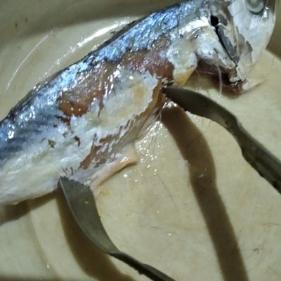 Langkah 1