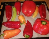 Sült paprika krém recept fázis 1 fotója