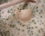 Tejes borsóleves recept fázis 3 fotója