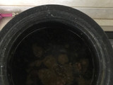 قرمه سبزی