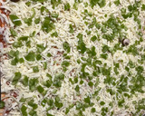 Foto del paso 3 de la receta: Pizza para solteros
