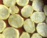 Foto del paso 5 de la receta: Musakás de Creta, para dos