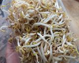 Foto langkah ke 1 dari resep Tumis Tauge Tahu Petis.