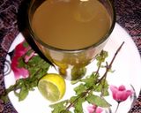 जीरा पुदीना टी (Jeera pudina tea recipes in Hindi) रेसिपी चरण 4 फोटो