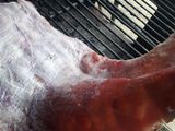 Matambre a la pizza