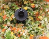 Foto del paso 3 de la receta: Tortitas de verduras