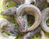 Foto del paso 1 de la receta: Pescadillas fritas🐠