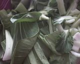 Foto langkah ke 1 dari resep Tumis Pakcoy Lobak.