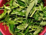 Kangkung tumis terasi