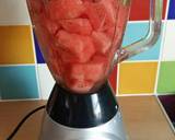Vickys Watermelon Cooler, GF DF EF SF NF recipe step 1 photo