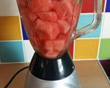 A picture of step 1 of Vickys Watermelon Cooler, GF DF EF SF NF.