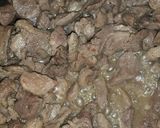 Foto del paso 2 de la receta: Carne de puerco con nopales.