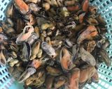 Foto langkah ke 1 dari resep Kerang kuah santan.