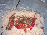 Nasi bakar ikan teri