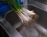 Foto del paso 4 de la receta: Calçots al Horno, con salsa Romescu