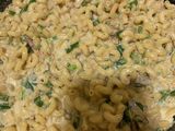 Creamy pasta