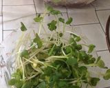 Foto del paso 7 de la receta: Ensalada de beterraga y choclo!!