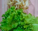 Foto langkah ke 4 dari resep Gado gado betawi.