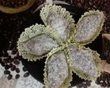 صورة لخطوة 1 من وصفة قاطوا خفيف