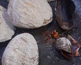 Foto langkah ke 4 dari resep Rawon daging ala bunda.