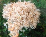 Hình bước làm 2 của món Canh Rau Xà Lách Xoong Nhật Nấu Ruốt