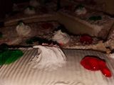 الكريمة البيضاء الخاصة بالكيك