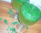 A picture of step 2 of Mint margrita.