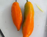 Foto del paso 4 de la receta: Seco de Res (cordero) criollo. 🇵🇪