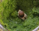 A picture of step 1 of Green mayonnaise.