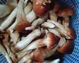 Foto langkah ke 1 dari resep Jamur Siung Kidang uyah bawang.
