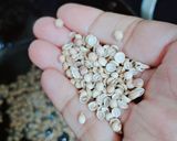 जीरा आलू रेसिपी चरण 2 फोटो