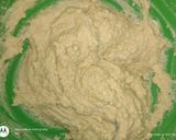 Foto del paso 2 de la receta: Pancito de leche