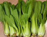 Foto langkah ke 2 dari resep Sayur 7 rupa; 七样菜 = qī yàng cài; sayur khas 7 hari after Imlek.