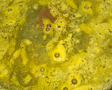 Foto del paso 3 de la receta: Lenguado en salsa de naranja