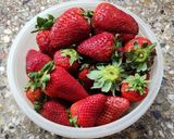 Foto del paso 1 de la receta: 🍓🫙Mousse de frutilla y yogurt 🍓 Sin huevo 🍓 3 ingredientes! 🫙🍓