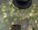 બેસન ભીંડી (Besan Bhindi Recipe in Gujarati) રેસીપી સ્ટેપ5ફોટો
